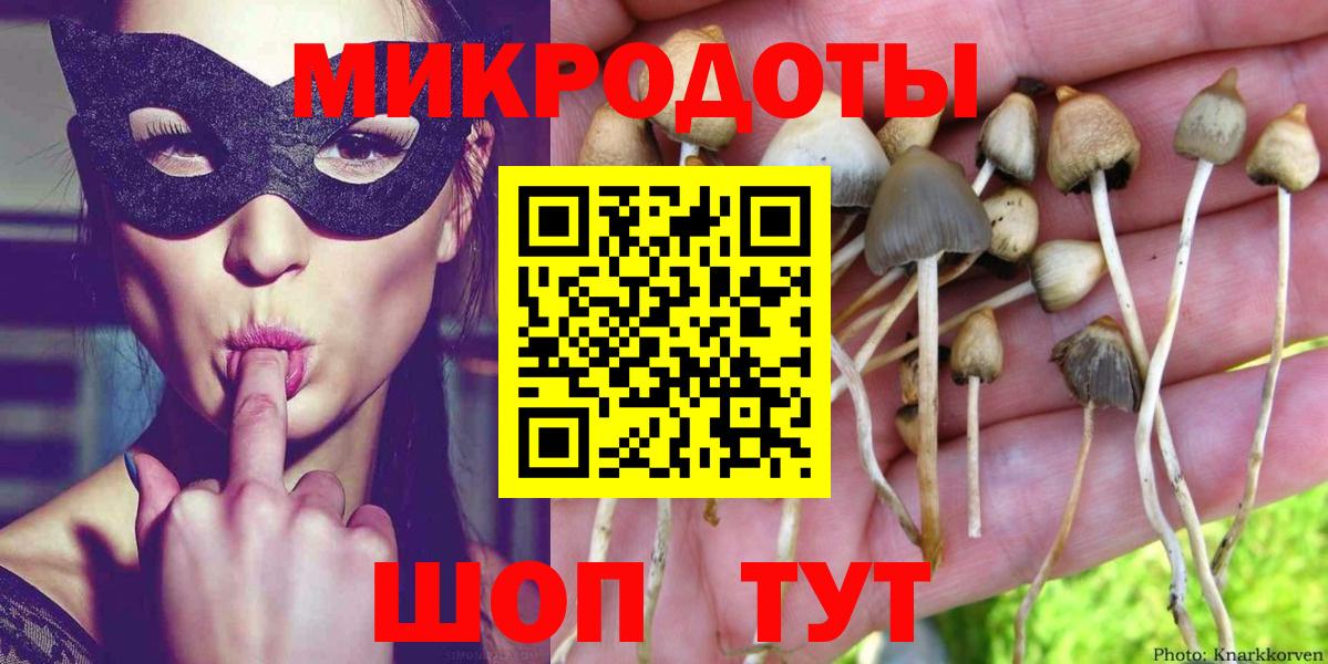 Псилоцибиновые грибы MAGIC MUSHROOMS  Саров  Псилоцибиновые грибы Cubensis 