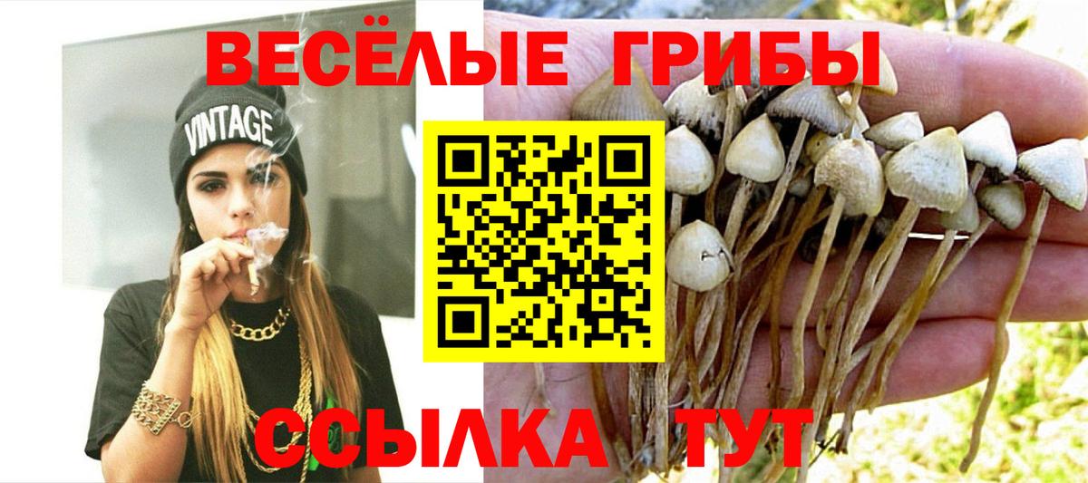Саров  Галлюциногенные грибы MAGIC MUSHROOMS  Вход с VPN 