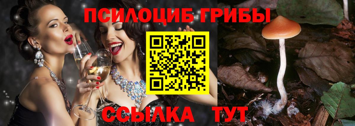 Псилоцибиновые грибы Cubensis Саров